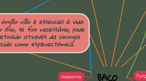 Mind Map: BAÇO