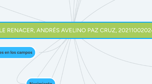 Mind Map: TRIPLE RENACER, ANDRÉS AVELINO PAZ CRUZ, 202110020249