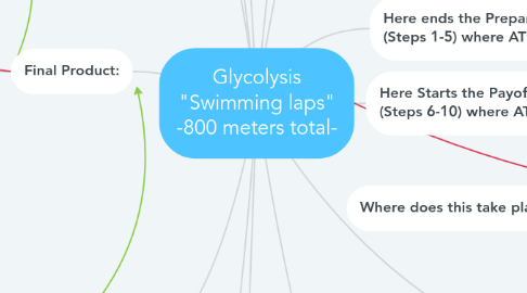 Mind Map: Glycolysis "Swimming laps" -800 meters total-