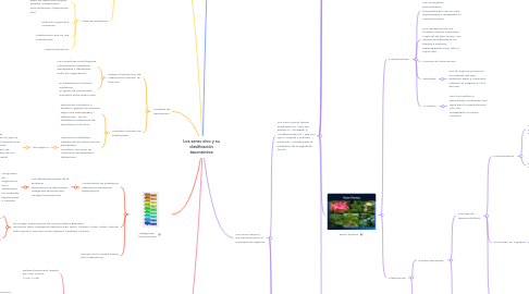 Mind Map: Los seres vivo y su clasificación taxonómica