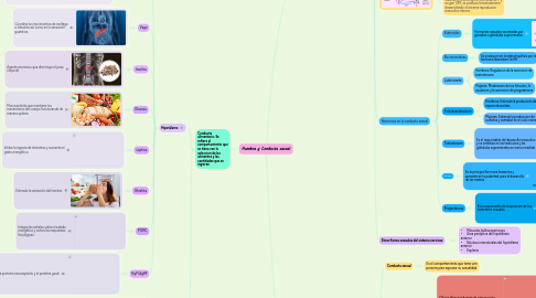 Mind Map: Hambre y Conducta sexual