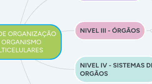 Mind Map: NÍVEIS DE ORGANIZAÇÃO DO ORGANISMO MULTICELULARES