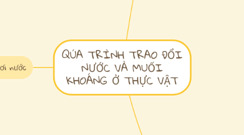 Mind Map: QÚA TRÌNH TRAO ĐỔI NƯỚC VÀ MUỐI KHOÁNG Ở THỰC VẬT