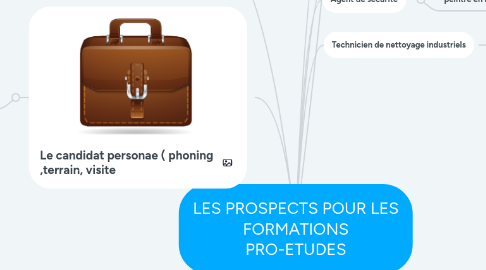 Mind Map: LES PROSPECTS POUR LES FORMATIONS PRO-ETUDES