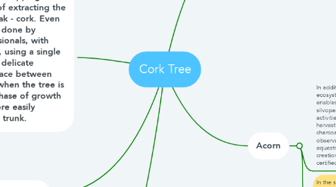 Mind Map: Cork Tree