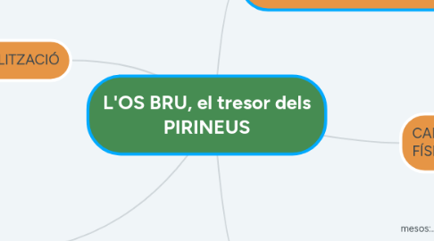 Mind Map: L'OS BRU, el tresor dels PIRINEUS