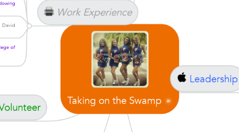 Mind Map: Taking on the Swamp