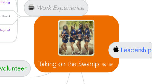 Mind Map: Taking on the Swamp