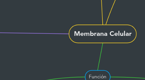 Mind Map: Membrana Celular