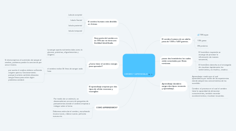 Mind Map: CEREBRO Y APRENDIZAJE