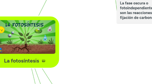 Mind Map: La fotosíntesis