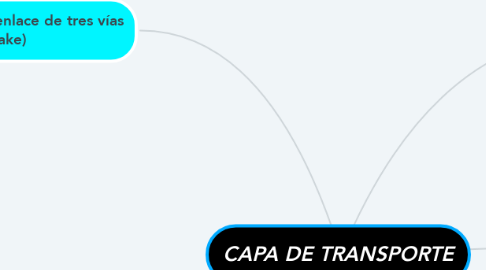 Mind Map: CAPA DE TRANSPORTE