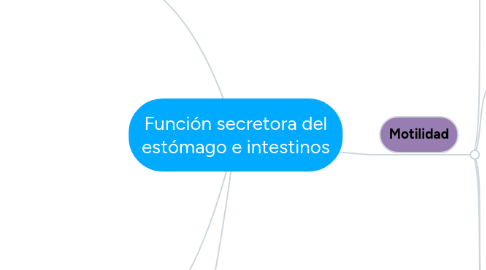 Mind Map: Función secretora del estómago e intestinos