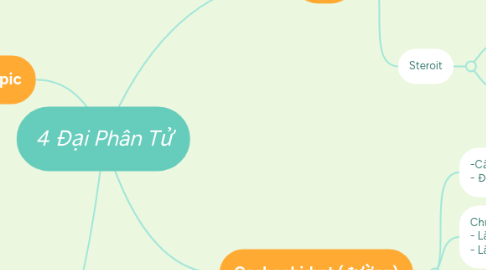 Mind Map: 4 Đại Phân Tử