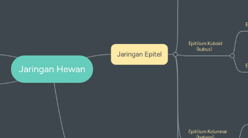 Mind Map: Jaringan Hewan