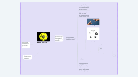 Mind Map: RIESGO BIOLOGICO