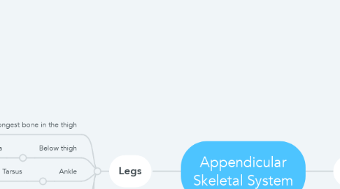 Mind Map: Appendicular Skeletal System