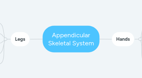 Mind Map: Appendicular Skeletal System