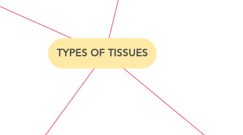Mind Map: TYPES OF TISSUES