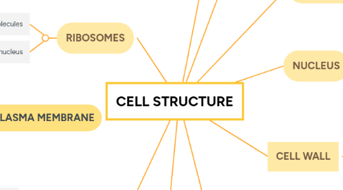 Mind Map: CELL STRUCTURE