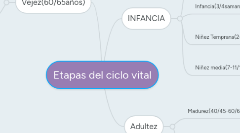 Mind Map: Etapas del ciclo vital