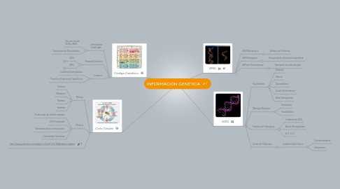 Mind Map: INFORMACIÓN GENÉTICA