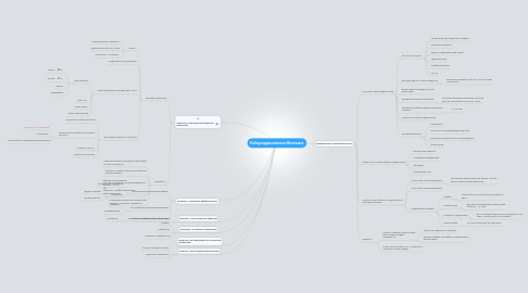 Mind Map: Набор подписчиков из Вконтакте