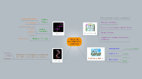 Mind Map: FLUJO DE INFORMACIÓN GENÉTICA