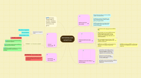 Mind Map: INFORMACION GENETICA