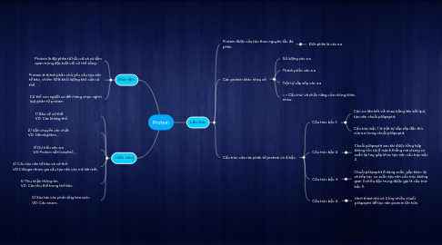 Mind Map: Protein