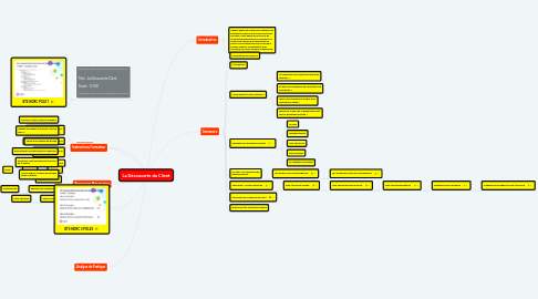 Mind Map: La Découverte du Client