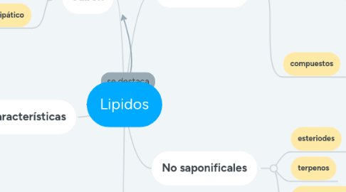 Mind Map: Lipidos