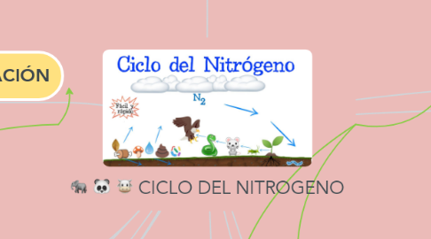 Mind Map: CICLO DEL NITROGENO