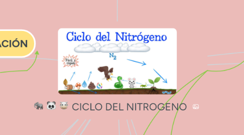 Mind Map: CICLO DEL NITROGENO