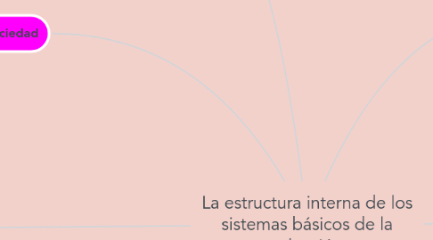 Mind Map: La estructura interna de los sistemas básicos de la educción