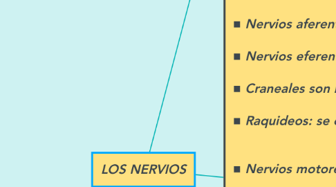 Mind Map: LOS NERVIOS
