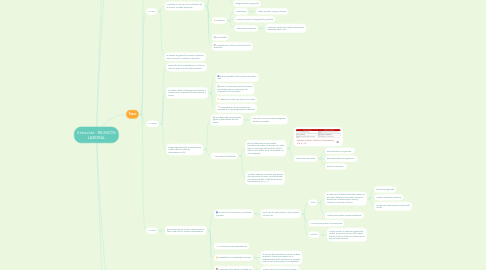 Mind Map: Entrevista - REUNIÓN LABORAL