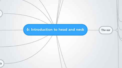 Mind Map: 6: Introduction to head and neck