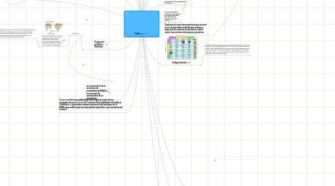 Mind Map: Celula