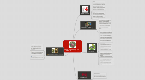 Mind Map: Licorería - Distribuidora “Baco” S.A.C - Piscos y vinos