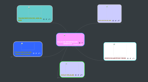 Mind Map: FLUJO DE INFORMACION GENETICA