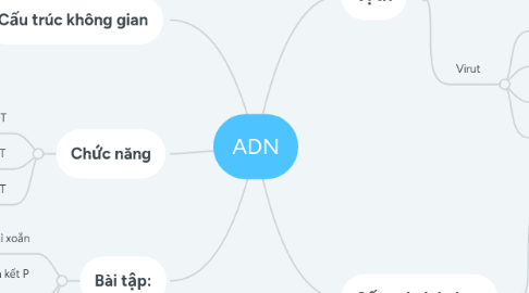 Mind Map: ADN