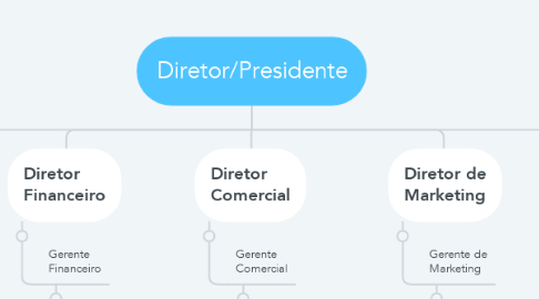 Mind Map: Diretor/Presidente