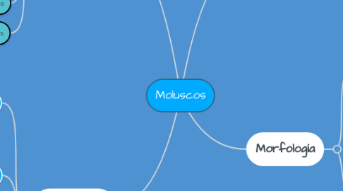 Mind Map: Moluscos