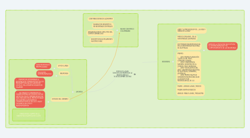 Mind Map: RODOLFO LLINAS (UNO DE LOS PADRES DE LA NEUROCIENCIA ) 16 DE DICIEMBRE DE 1934