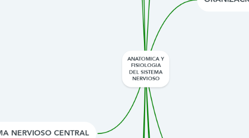 Mind Map: ANATOMICA Y FISIOLOGIA DEL SISTEMA NERVIOSO