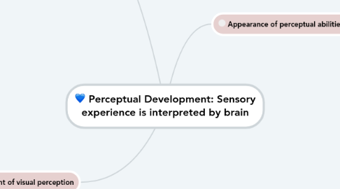 Mind Map: Perceptual Development: Sensory experience is interpreted by brain