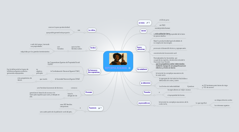 Mind Map: REFORMA AGRARIA