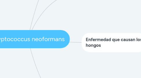 Mind Map: Cryptococcus neoformans