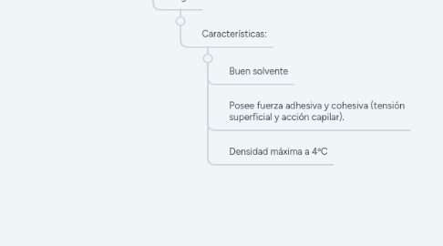 Mind Map: BIOMOLECULAS